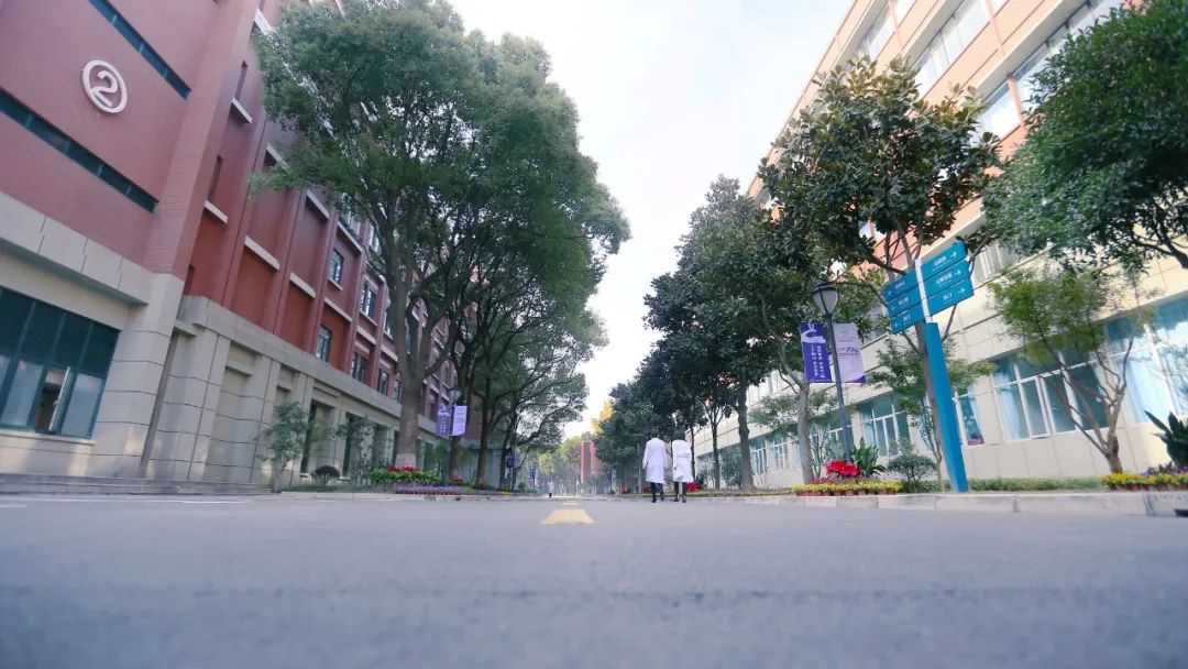 上海松江区中心医院简介,上海市松江中心医院改扩建项目