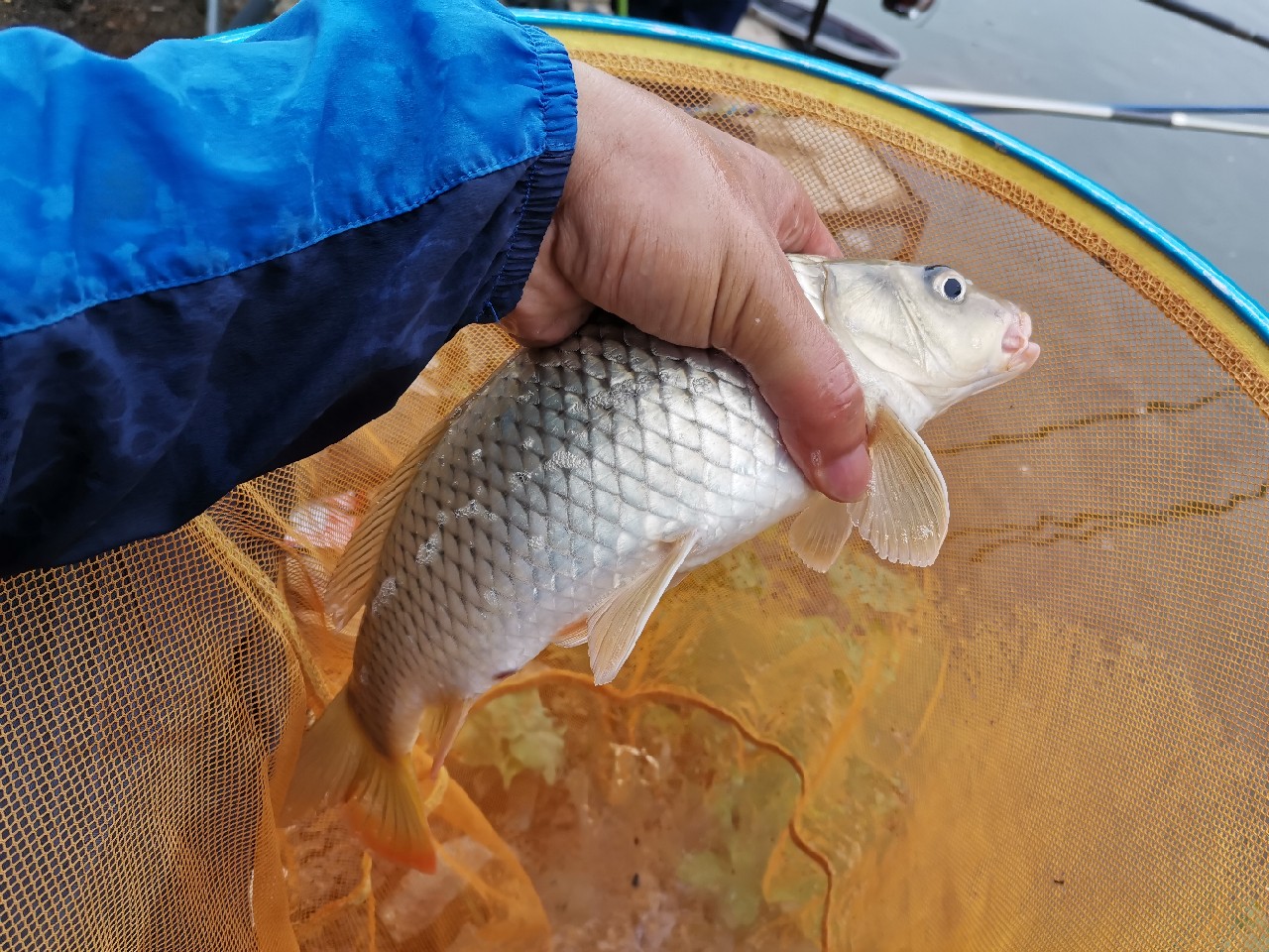 小康哥抽奖钓鱼,小康哥钓鱼最新视频