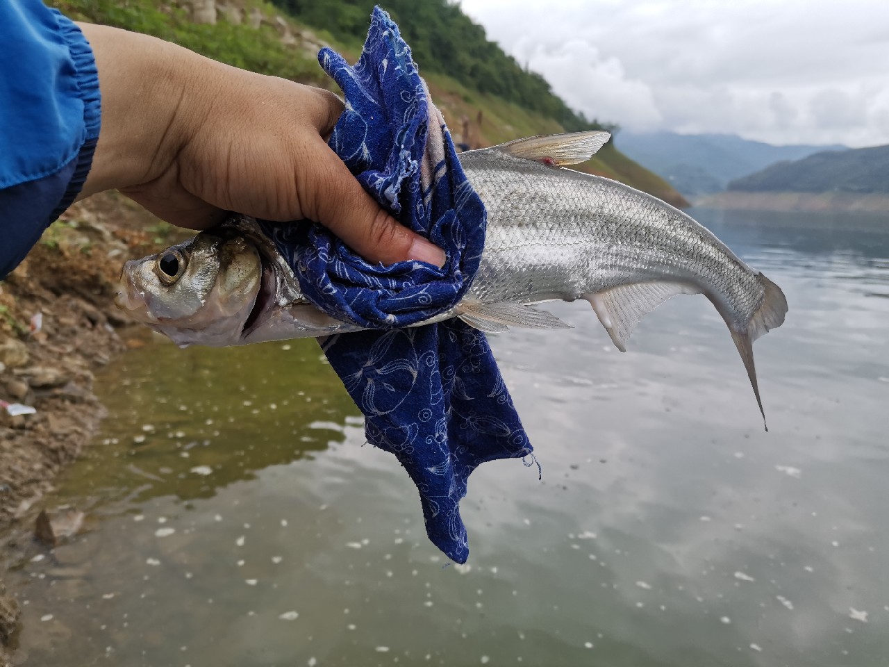 小康哥抽奖钓鱼,小康哥钓鱼最新视频