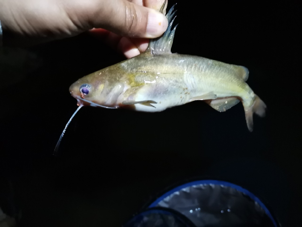 小康哥抽奖钓鱼,小康哥钓鱼最新视频