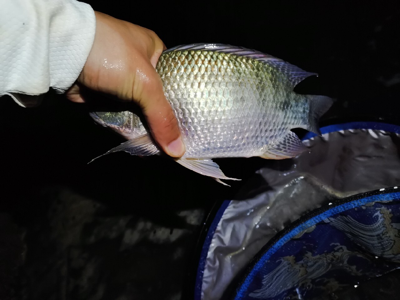 小康哥抽奖钓鱼,小康哥钓鱼最新视频