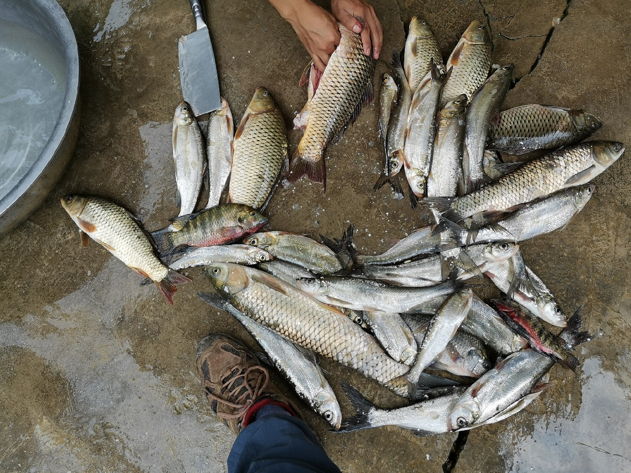 小康哥抽奖钓鱼,小康哥钓鱼最新视频