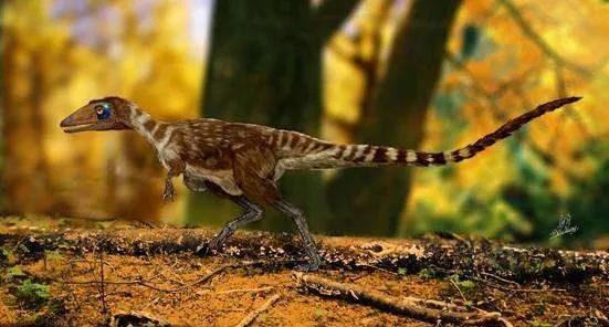 阳光童书｜《非主流恐龙记》：来自史前现场的侦探手记