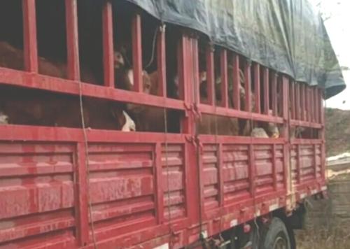 往返100公里耗油多少钱,来回140公里用多少油