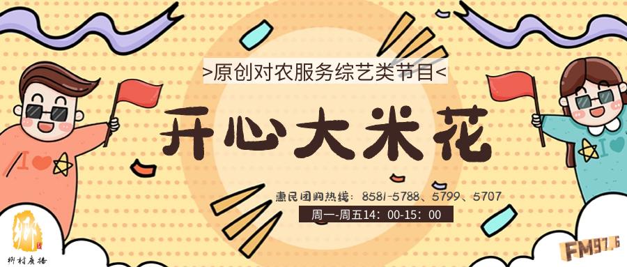 用什么洗发水防止脱发断发,洗头发时加点它防止脱发