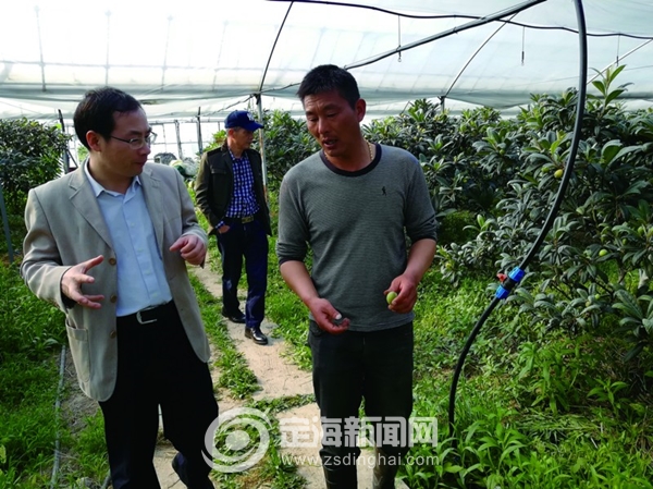 真情服务新闻,定海新闻网最新视频