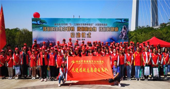 医疗设备应用技术专业书籍,医疗设备应用技术专业最新新闻