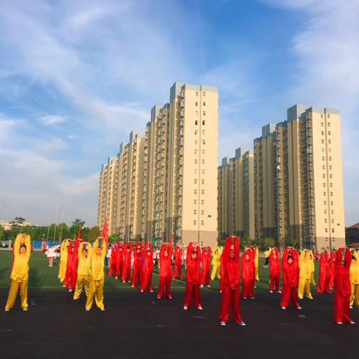 医疗设备应用技术专业书籍,医疗设备应用技术专业最新新闻