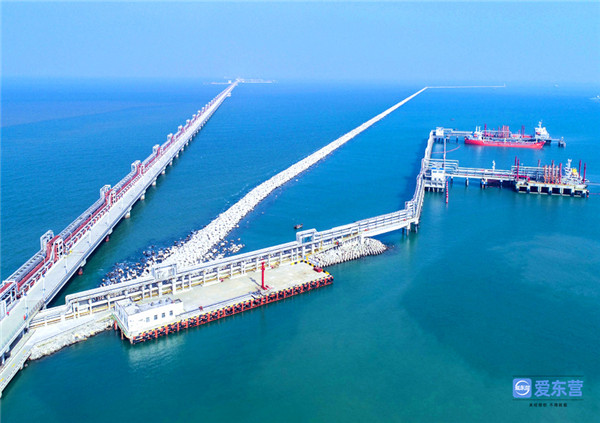 东营港经济开发区*党**工委书记、管委会主任杨同贤:大干快上抓项目加快打造鲁北高端石化产业基地核心区