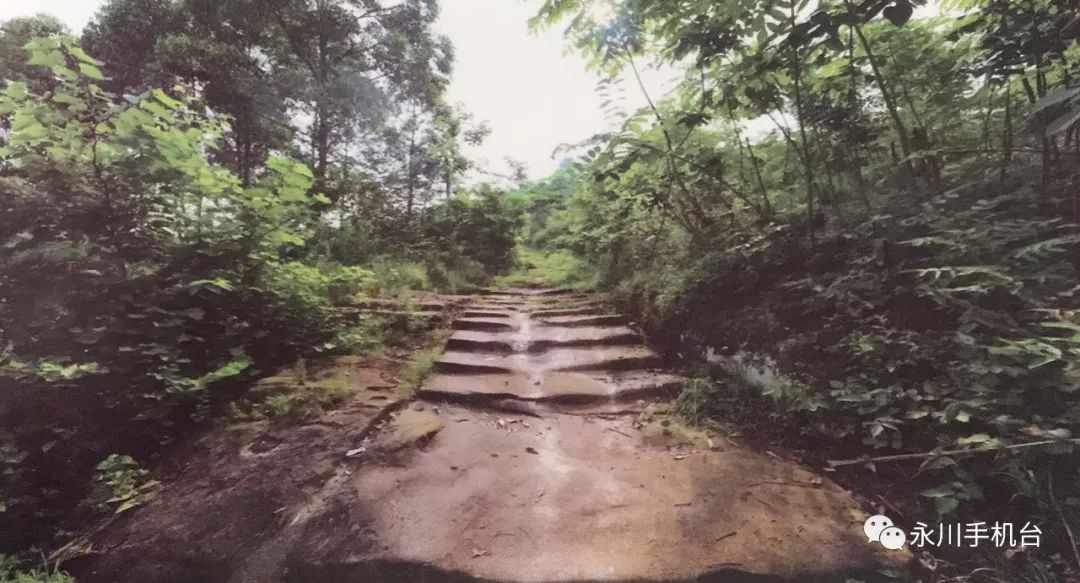 你对永川知多少？茶店场、东皋驿、川东大道....