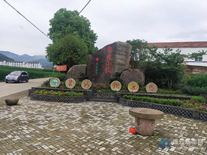 2019年7月20日丽水新闻,丽水新闻快讯