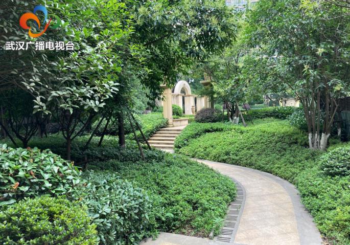 武汉真正的园林小区,诗意栖居武汉新添110个园林式小区