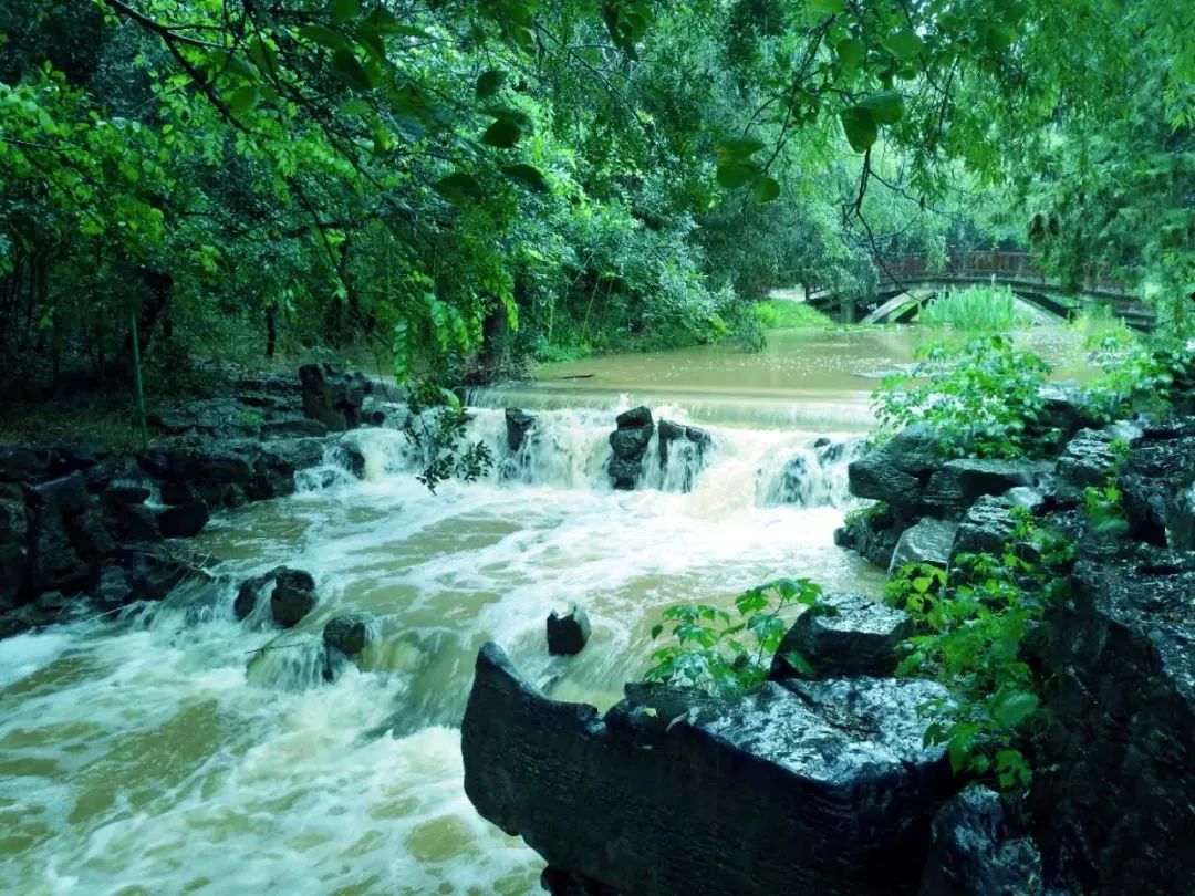 雨天的艾山，宛如人间仙境