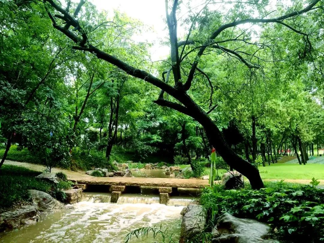 雨天的艾山，宛如人间仙境