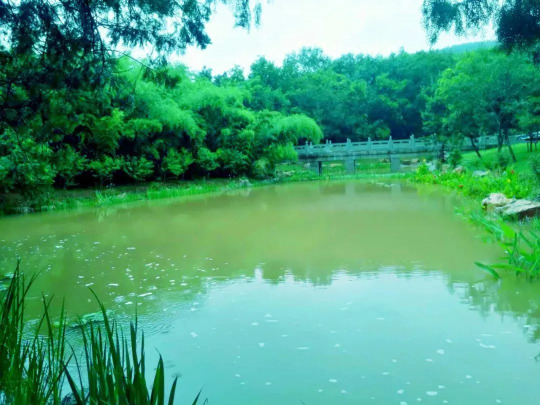 雨天的艾山，宛如人间仙境