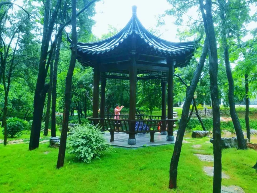 雨天的艾山，宛如人间仙境