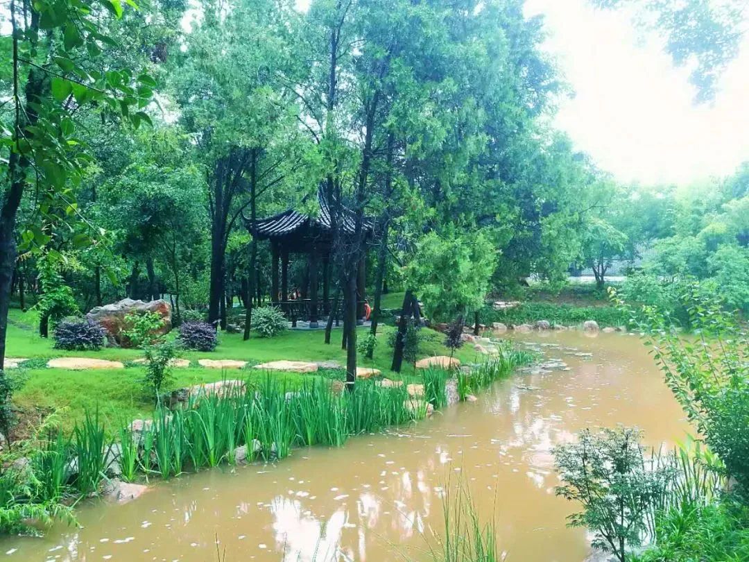 雨天的艾山，宛如人间仙境