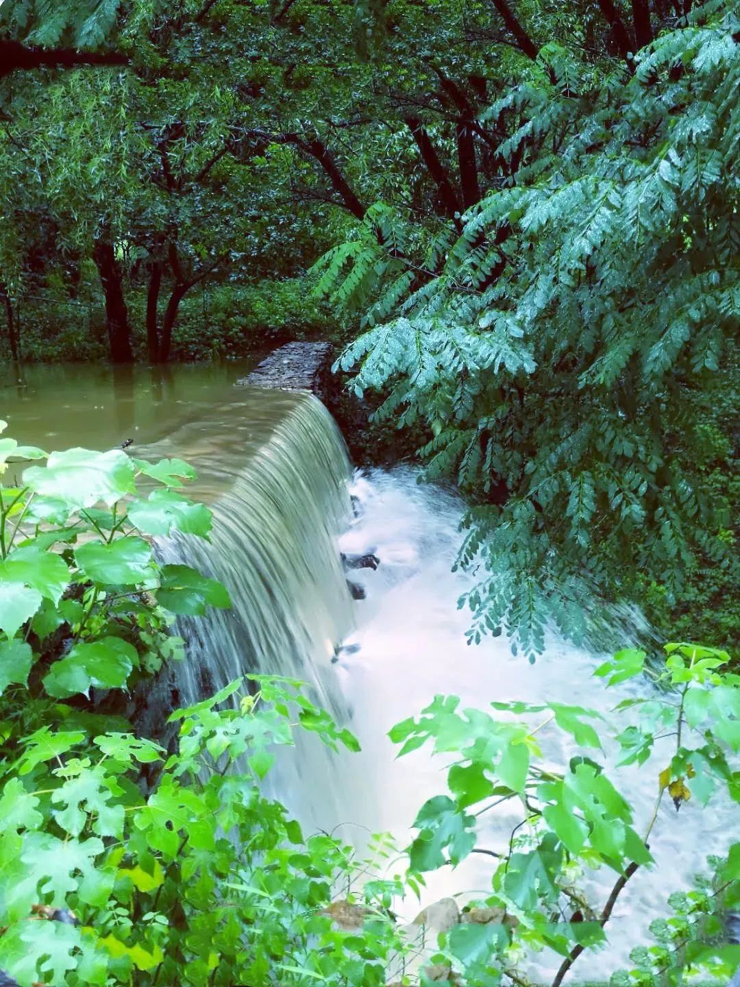 雨天的艾山，宛如人间仙境