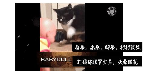 被流浪猫咬到没什么大事吧,不小心被猫咬了一口要打针么