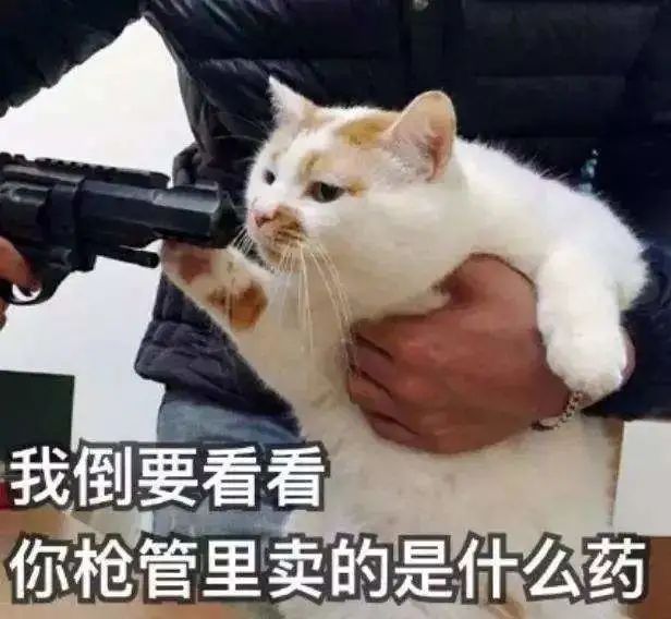 被流浪猫咬到没什么大事吧,不小心被猫咬了一口要打针么