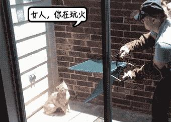 被流浪猫咬到没什么大事吧,不小心被猫咬了一口要打针么