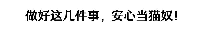 被流浪猫咬到没什么大事吧,不小心被猫咬了一口要打针么