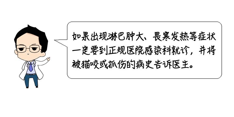 被流浪猫咬到没什么大事吧,不小心被猫咬了一口要打针么