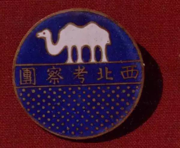 柳向春与徐森玉,柳向春是怎么死的