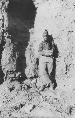 柳向春与徐森玉,柳向春是怎么死的