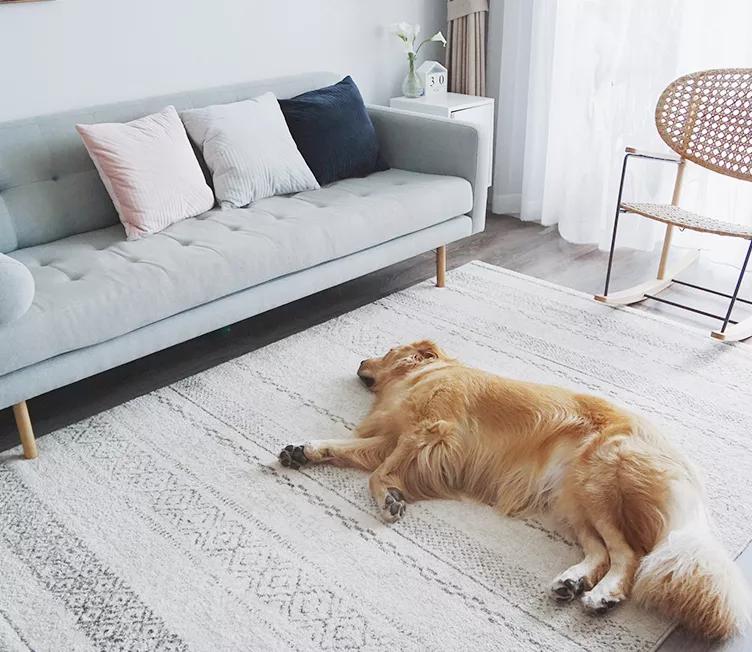 灏忔埛鍨嬭濡備綍閫夋嫨瀹跺叿,灏忔埛鍨嬭濡備綍閫夋嫨娌欏彂