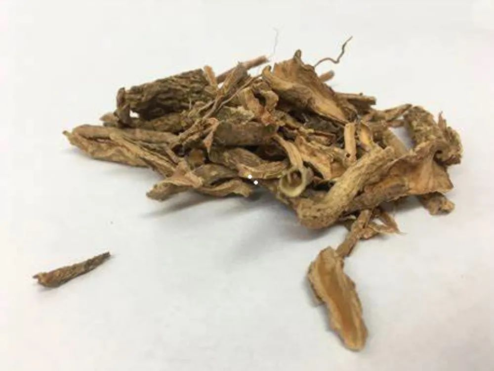 中药地骨皮是治啥的,地骨皮治什么病最有效