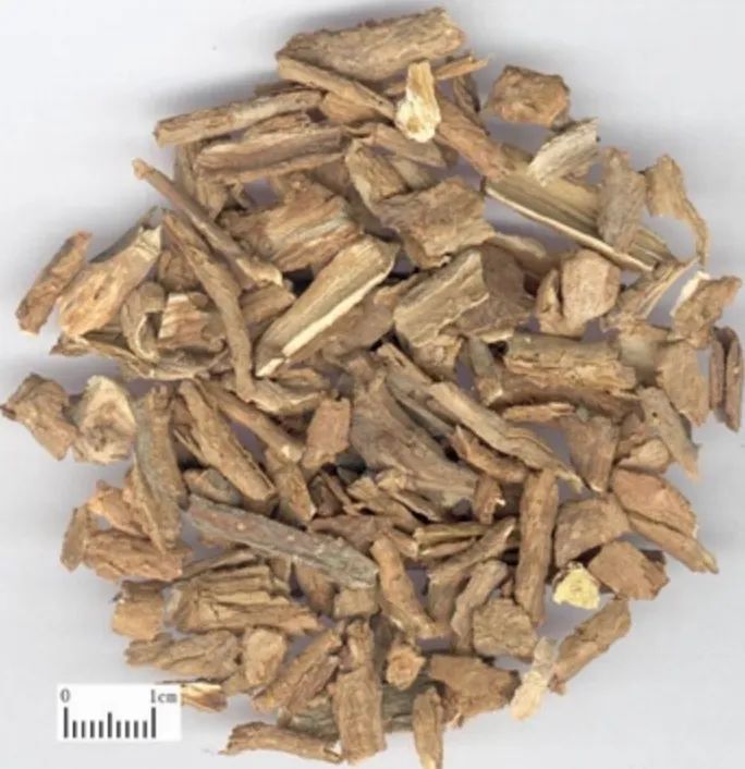 中药地骨皮是治啥的,地骨皮治什么病最有效