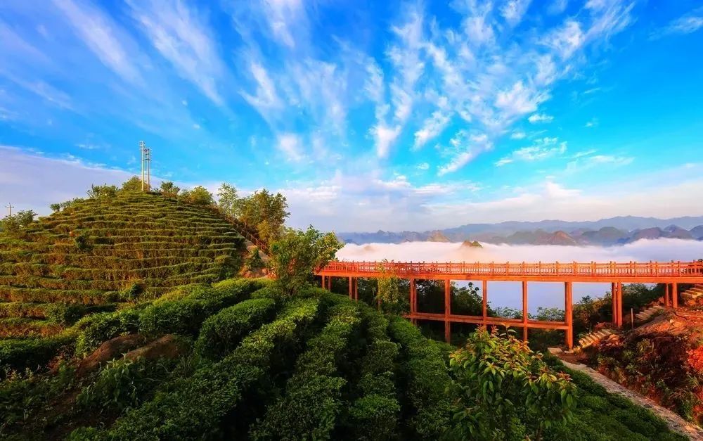 中国十大强镇排名广西,广西最有实力城市排名