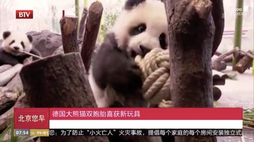 去动物园里散步才是正经事,逛动物园是件正经事表达什么