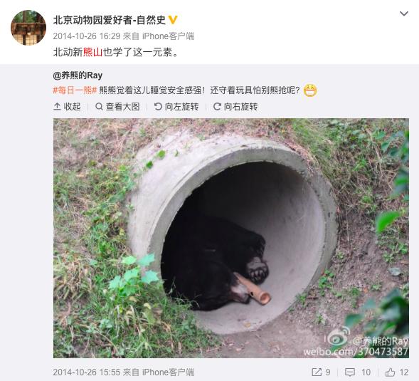 去动物园里散步才是正经事,逛动物园是件正经事表达什么