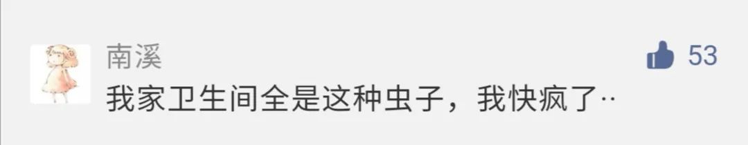 农村发现小黑虫,请问家里出现的这种小黑虫是什么