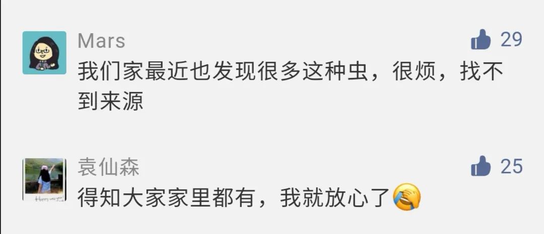 农村发现小黑虫,请问家里出现的这种小黑虫是什么