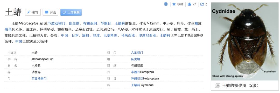 农村发现小黑虫,请问家里出现的这种小黑虫是什么