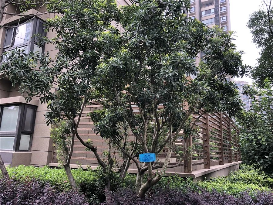 两年房价涨1100卖出赚多少,两年涨20万的房子