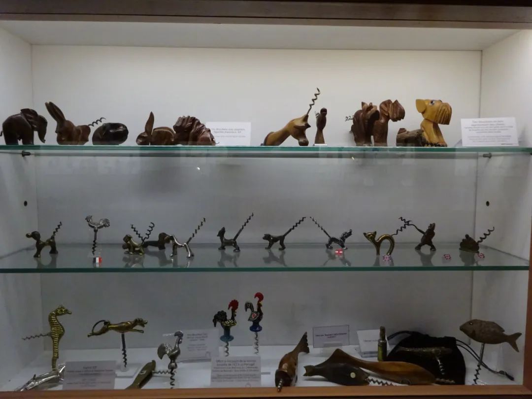 「娱乐」吸血鬼的秘密，时光机的旅行，法国博物馆里的惊喜多到尖叫