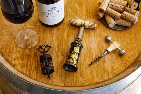 「娱乐」吸血鬼的秘密，时光机的旅行，法国博物馆里的惊喜多到尖叫