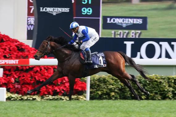 1216亿元!2019/20香港马季总投注额破千亿大关