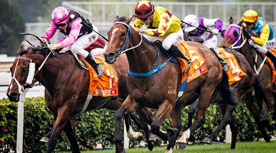 1216亿元!2019/20香港马季总投注额破千亿大关