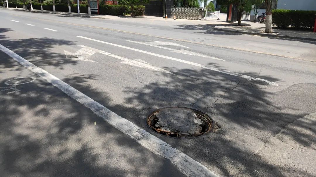 如何帮狗办狗证,银川怎么申请狗证免费