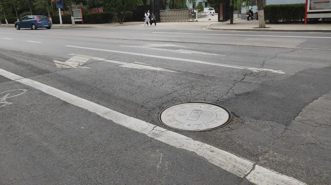 如何帮狗办狗证,银川怎么申请狗证免费