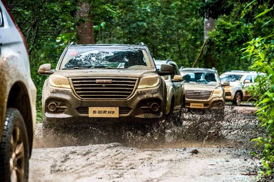 向死而生所向披靡,向死而生绝境翻盘