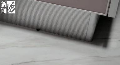 虫子入侵,外星怪虫入侵