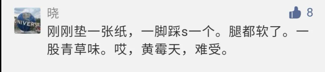 虫子入侵,外星怪虫入侵