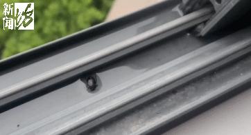 虫子入侵,外星怪虫入侵