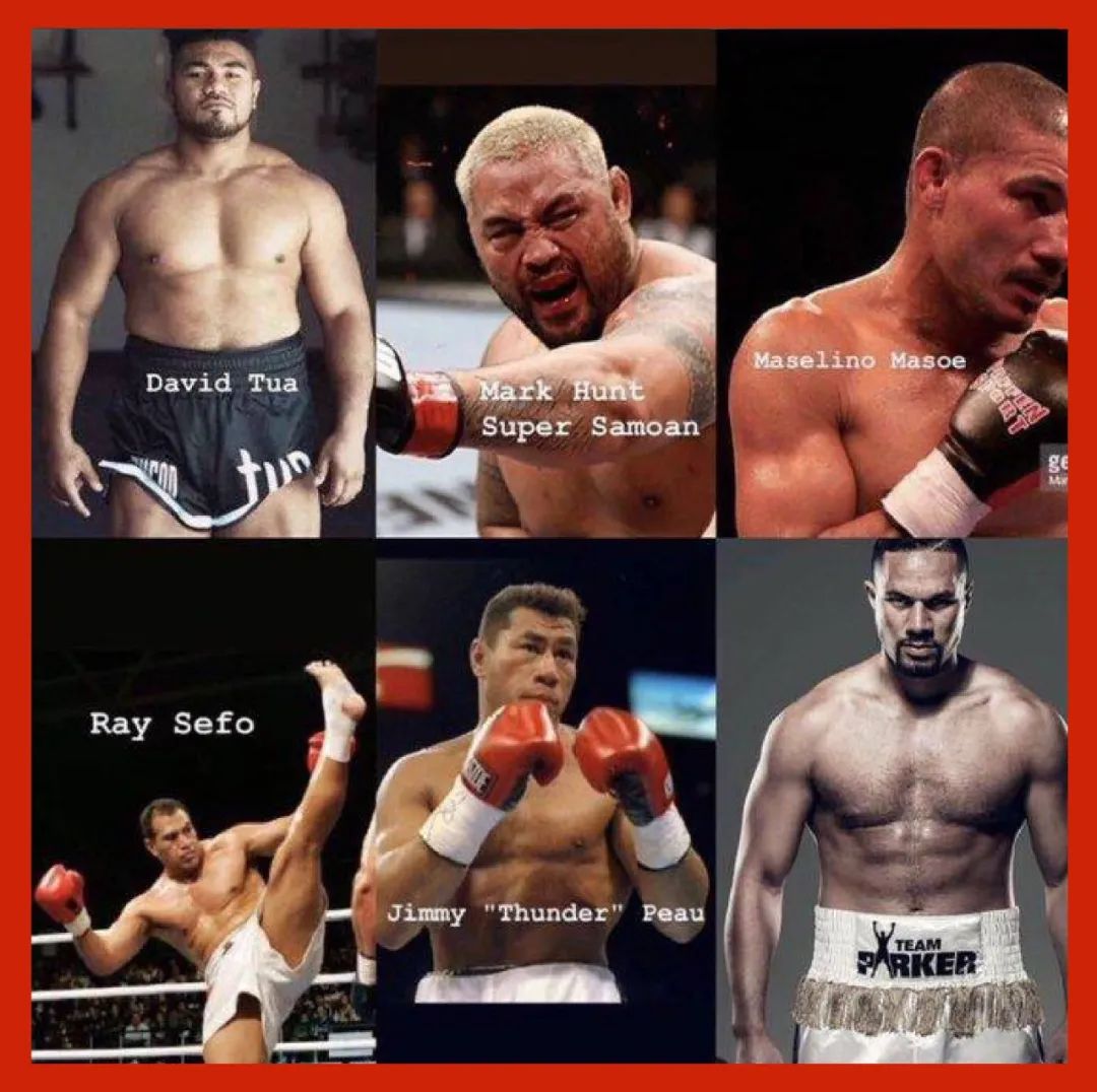 能打过萨摩耶的狗狗,能打过俄罗斯的国家有哪些